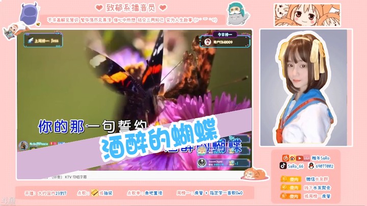 酒醉的蝴蝶