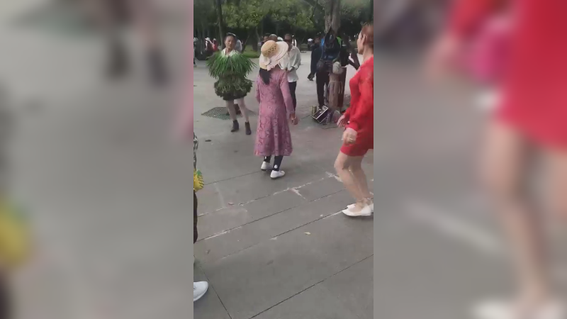 这阿姨用蔬菜[弱鸡大气]