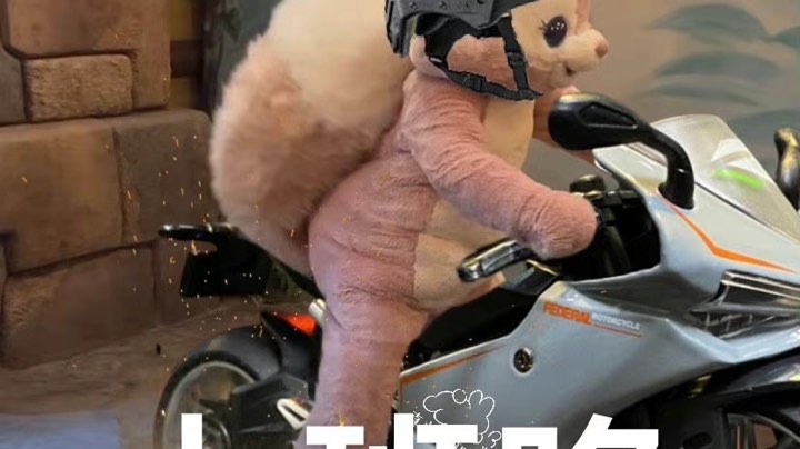 五人黑