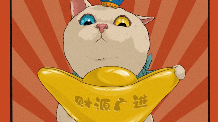 爪子日记