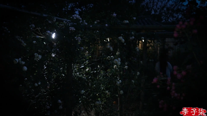 我在斗鱼看李子柒liziqi直播美食