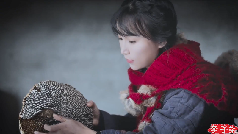 【美食】李子柒liziqi的精彩时刻 20220121 06点场