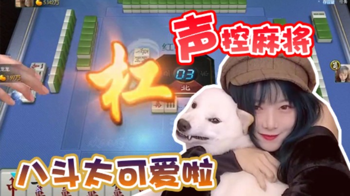 【骆歆】众所周知麻将是一款声控游戏