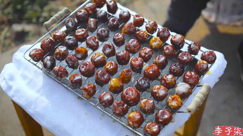 【美食】李子柒liziqi的精彩时刻 20220121 06点场