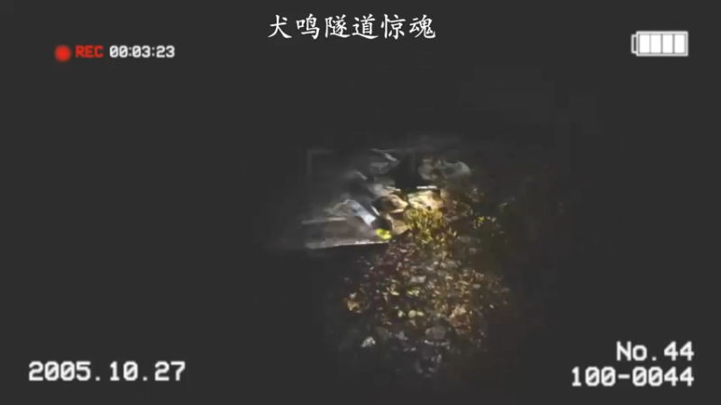 【琼斯小卫】：看看这间房子里到底有什么可怕的东西