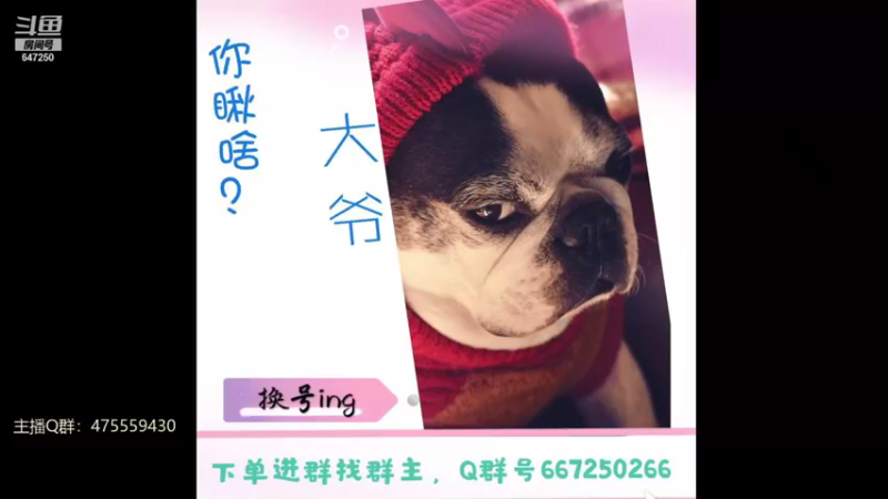 【2022-01-20 23点场】小马锅马杰：我差点就碰到月亮了，可惜天亮了