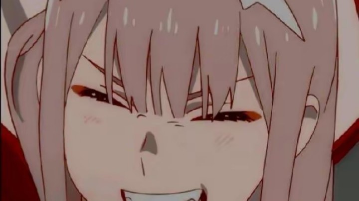 爪子日记