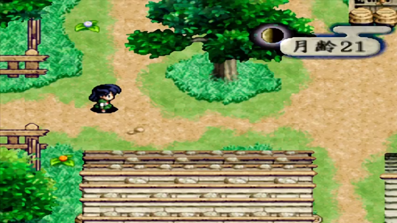 PS犬夜叉 19奈落