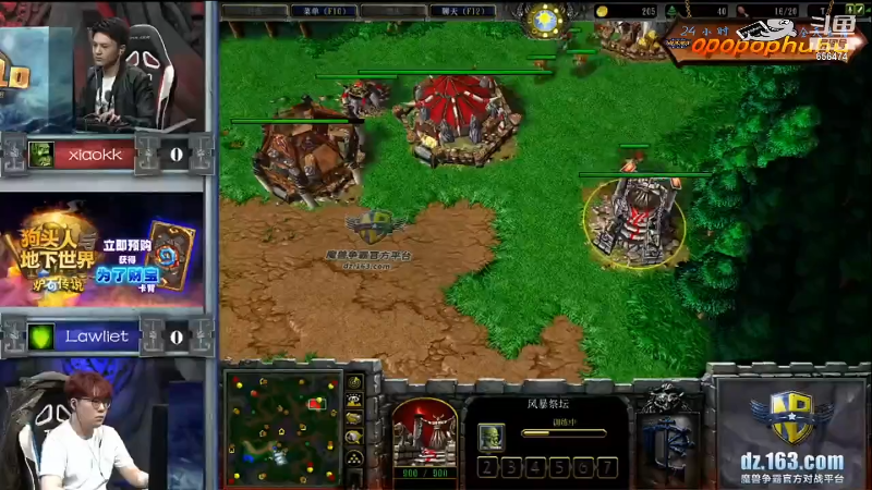 我在斗鱼看opopophuhu直播魔兽争霸