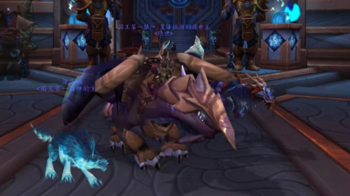 【魔兽世界】黑暗猎神阿凯格里恩生存猎人21层伤逝剧场