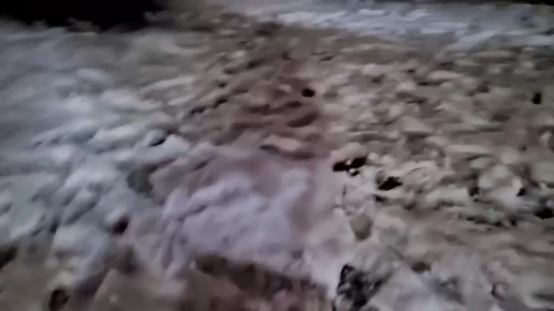 【2022-01-22 18点场】火力堂主：雪快化了！