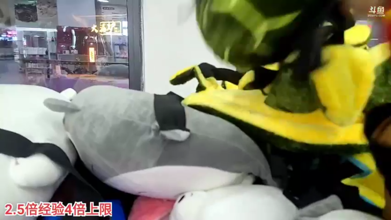 【2022-01-17 21点场】叶子户外：【长相守，到白头】-长白山