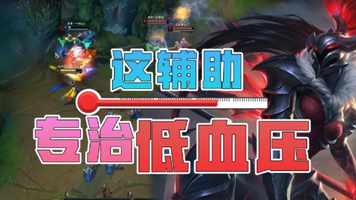 游戏玩了这么久，从来没见过这么离谱的辅助！