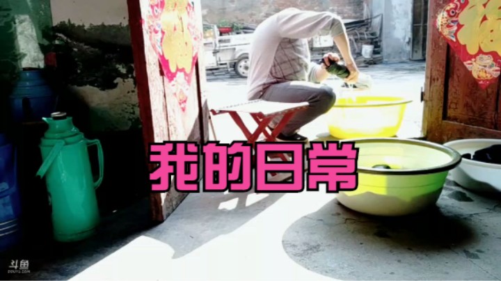 户外小院我的日常