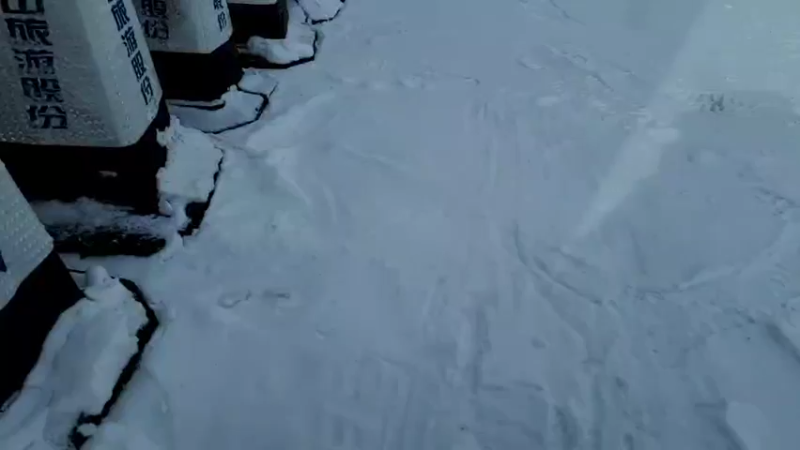 【2022-01-17 10点场】叶子户外：【长相守，到白头】-长白山