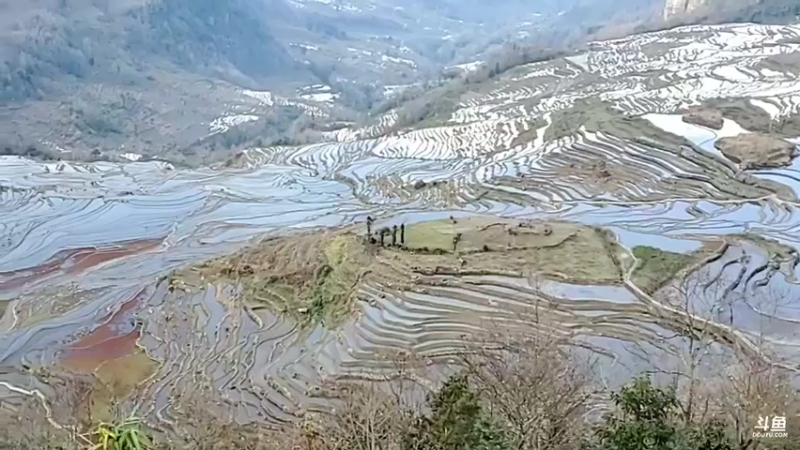 【2022-01-22 16点场】聆听地球：红河哈尼梯田揽胜
