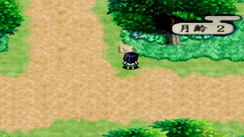 PS犬夜叉 29杀生丸三