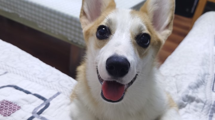 随便玩玩