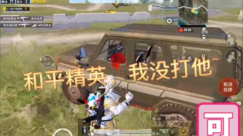 和平精英，我没打他~