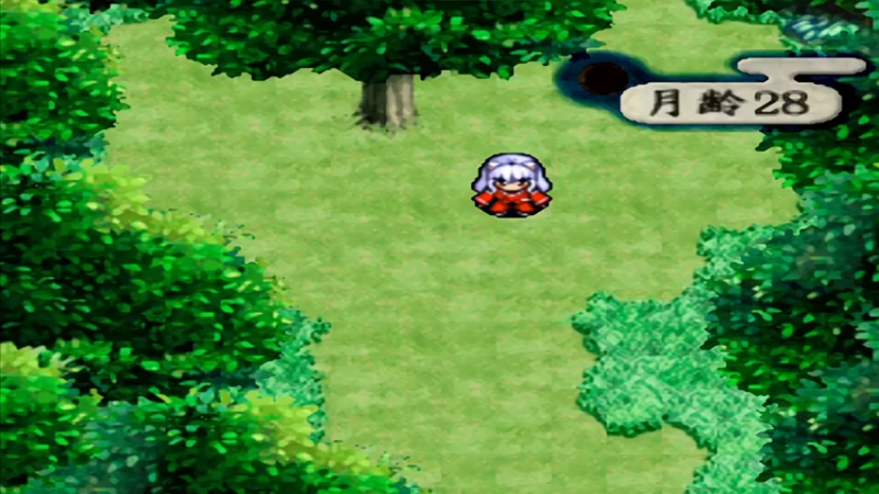 PS犬夜叉 24梦心寺