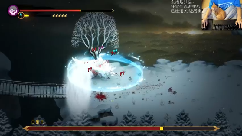 【2022-01-23 23点场】小杰帅锅：【狂雪】猫咪主播日常开播~
