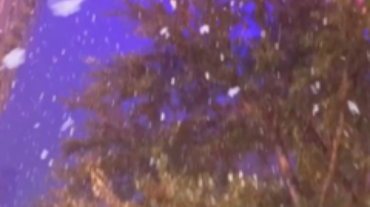 叫我圆妹妹吧发布了一个斗鱼视频2022-01-24