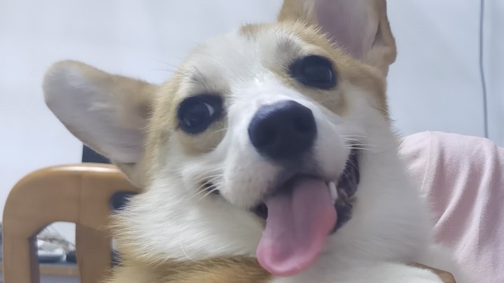随便玩玩