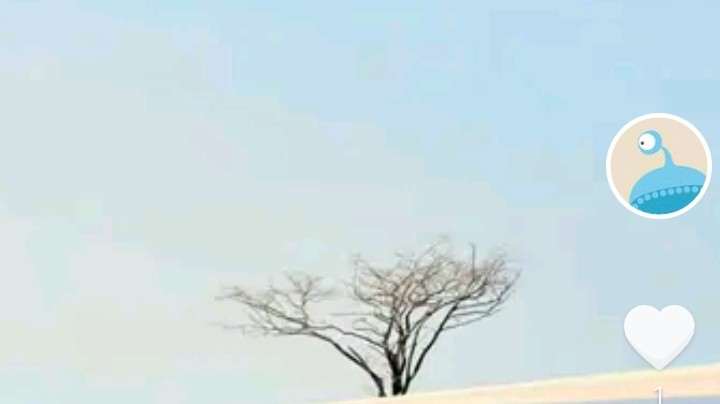 情侣现场