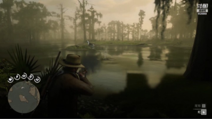 鳄鱼不是鱼吗？