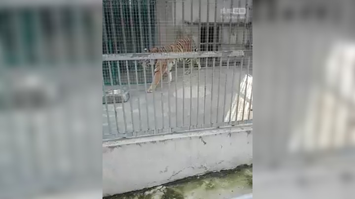 神坡农旅的休闲旅行故事
