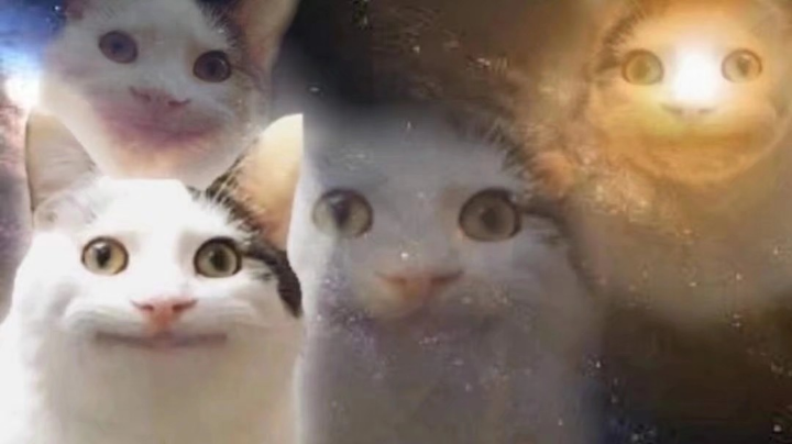 不知道是啥随便发好了