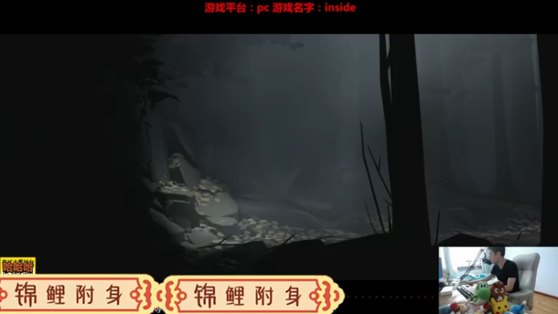 游戏《inside》速通视频