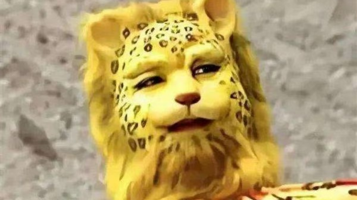 冲冲冲～