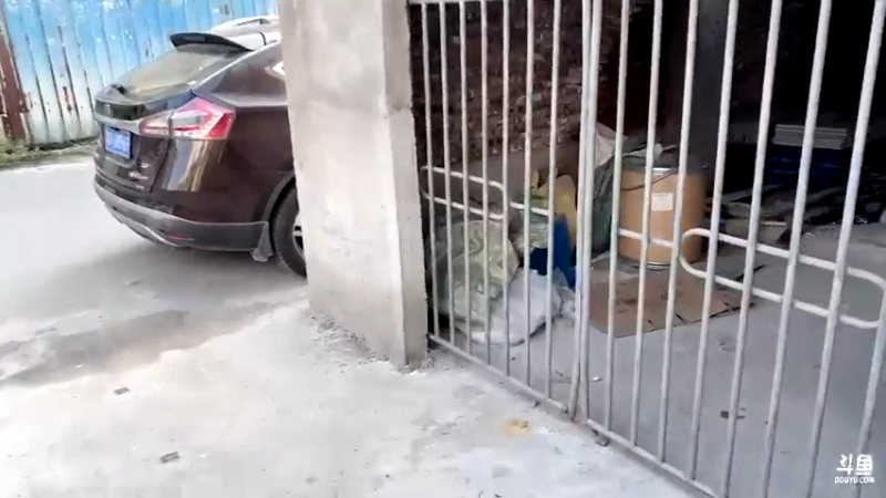 【2022-01-26 15点场】yjjimpaopao：钓鱼粉狂欢日
