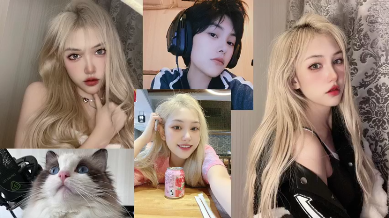 【2022-01-25 00点场】可爱橘QvQ：橘：4点欢迎走进人与自然