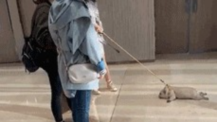 真气人