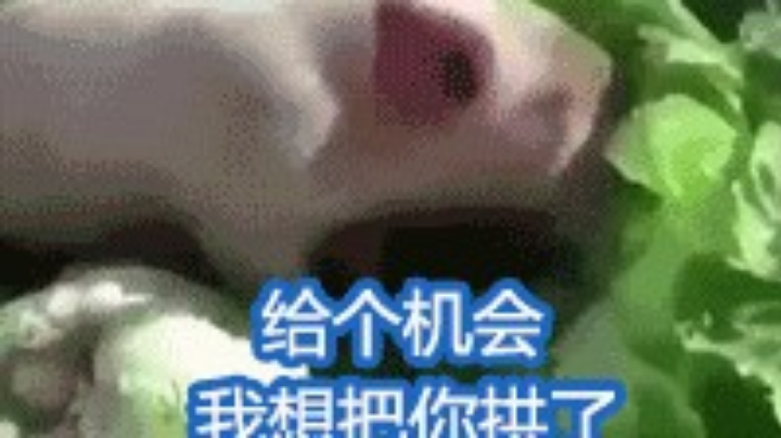 坑坑更健康