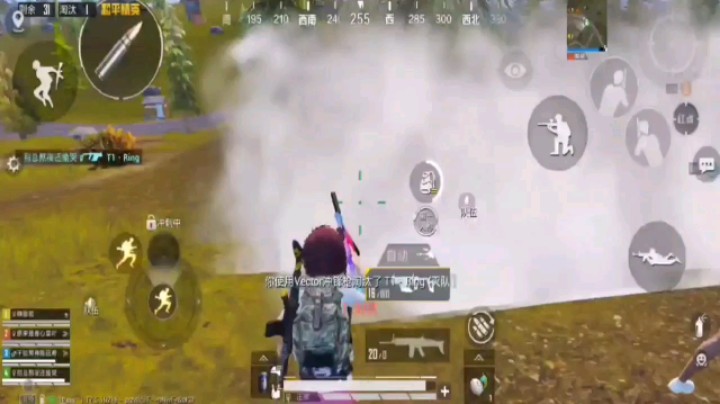 【和平精英/耗耗】爱又怎么样/又不是最爱/也不是只爱