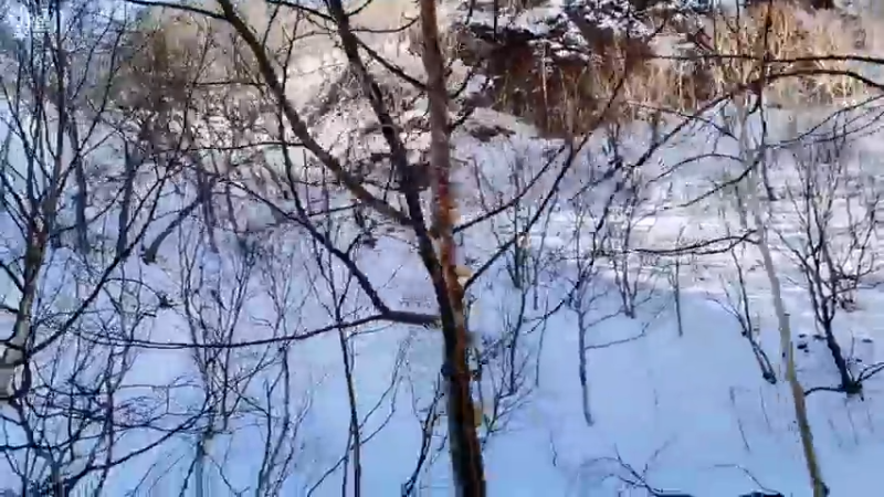 长白山