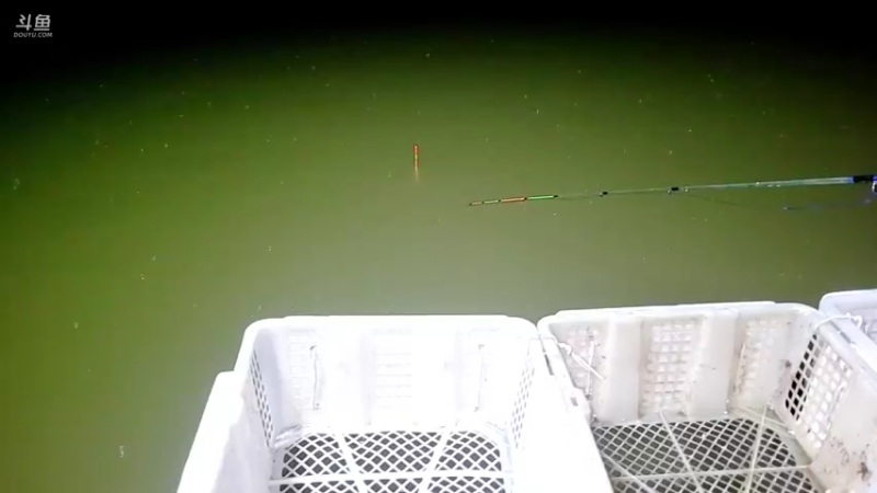 【2022-01-26 20点场】洪湖小肖：夜钓   敬请期待337852