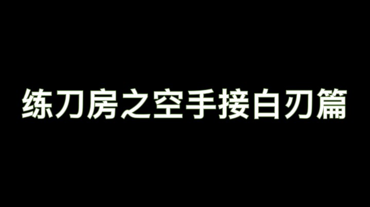 无尘空手接白刃篇