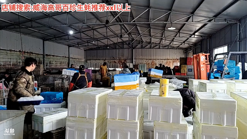 【户外】威海高哥587997的精彩时刻 20220126 14点场