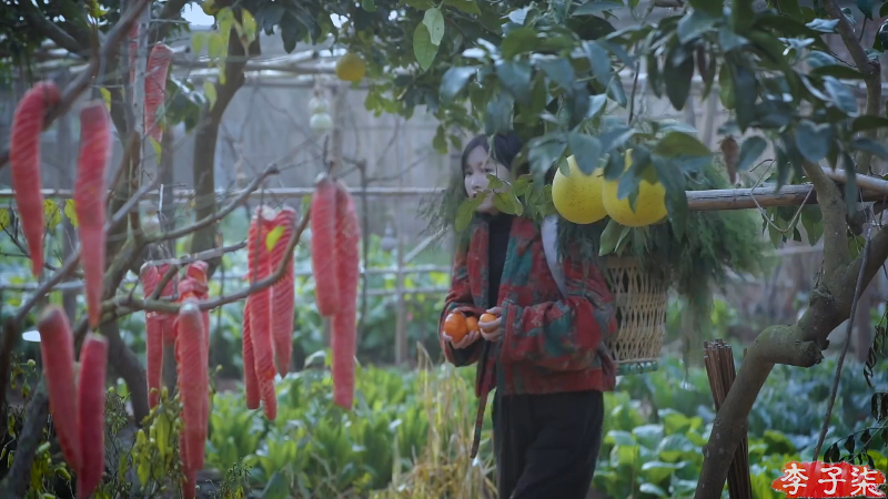 我在斗鱼看李子柒liziqi直播美食