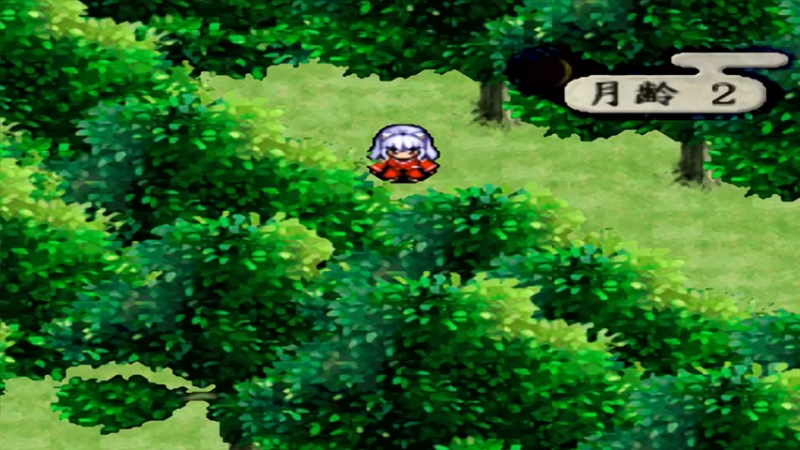 PS犬夜叉 31琥珀