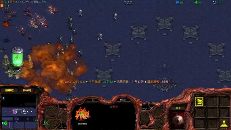 【2022-01-25 03点场】星际DSA联赛：天使風暴™️ 專業版
