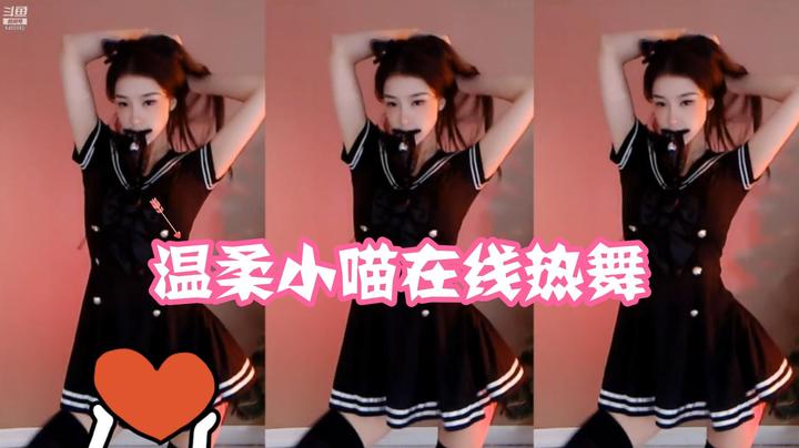 【Chance喵】这就是可爱的小野猫