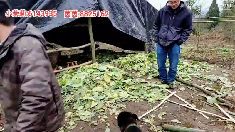 【2022-01-27 13点场】川味箩卜：新的一天冲冲冲 757122