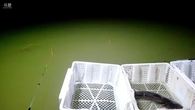 【2022-01-26 22点场】洪湖小肖：夜钓   敬请期待337852