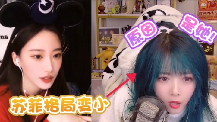 【骆歆】苏菲格局变小，原因竟是和骆歆做朋友！