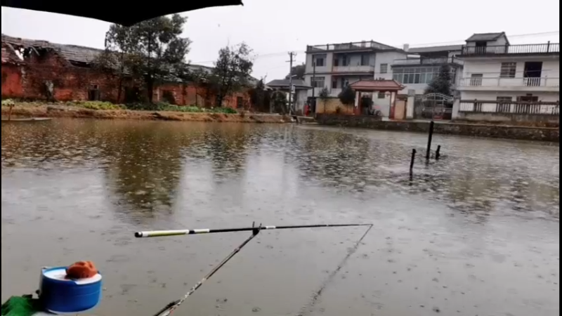 【2022-01-28 13点场】中华户外钓鱼：今天是个钓鱼的好天气 828705
